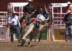 Calgary Stampede-1519